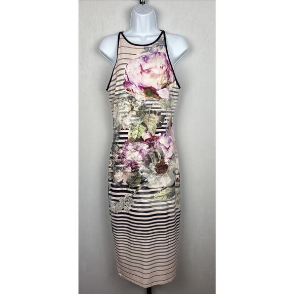 Ted Baker Laya Peony Sleeveless Midi Dress Size 4-6 Floral Striped Bodycon Art - Picture 1 of 8